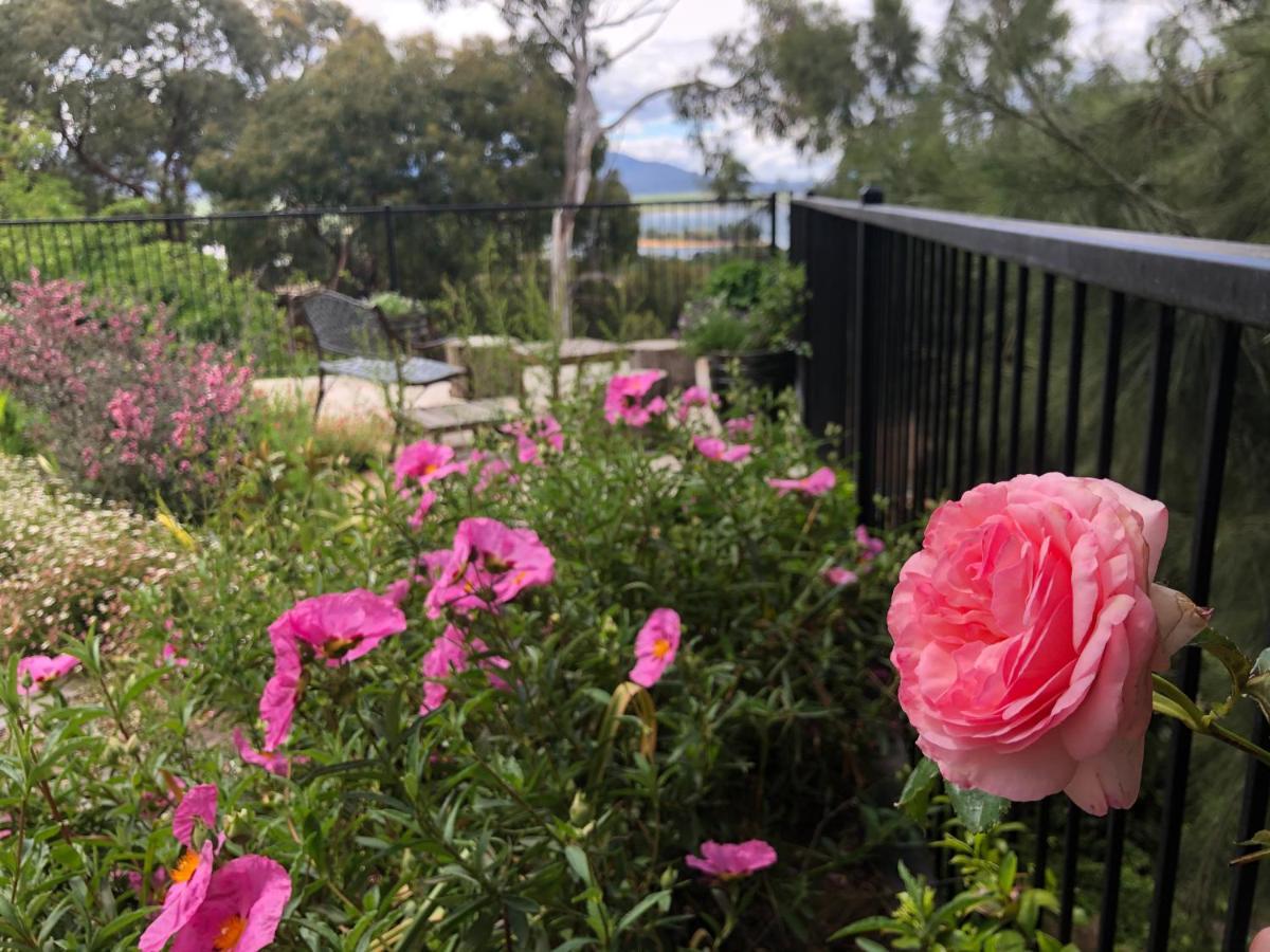 Troldhaugen Lodge - Adults Only Jindabyne Dış mekan fotoğraf